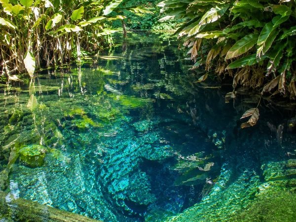 The Chet Si spring, a pool of clear blue-green water in the forest with a sunken log on its floor