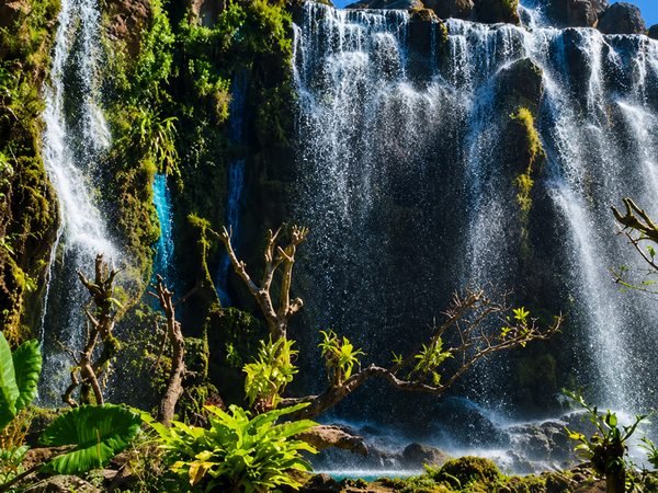 A wide ornamental waterfall over a mossy rock wall, planted terraces at its foot