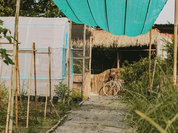 The beds of a small organic farm, bamboo stakes and a green shade net over the work shelter
