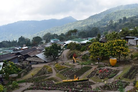 A hill village with market gardens laid out below the forested ridge