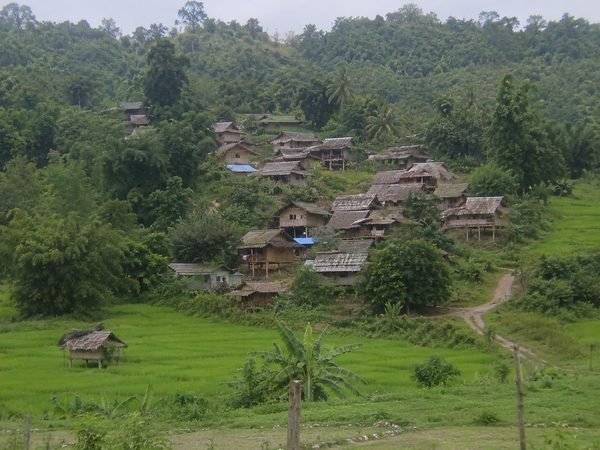 A Karen hill village of wooden houses with thatched roofs above bright green rice fields, forest behind