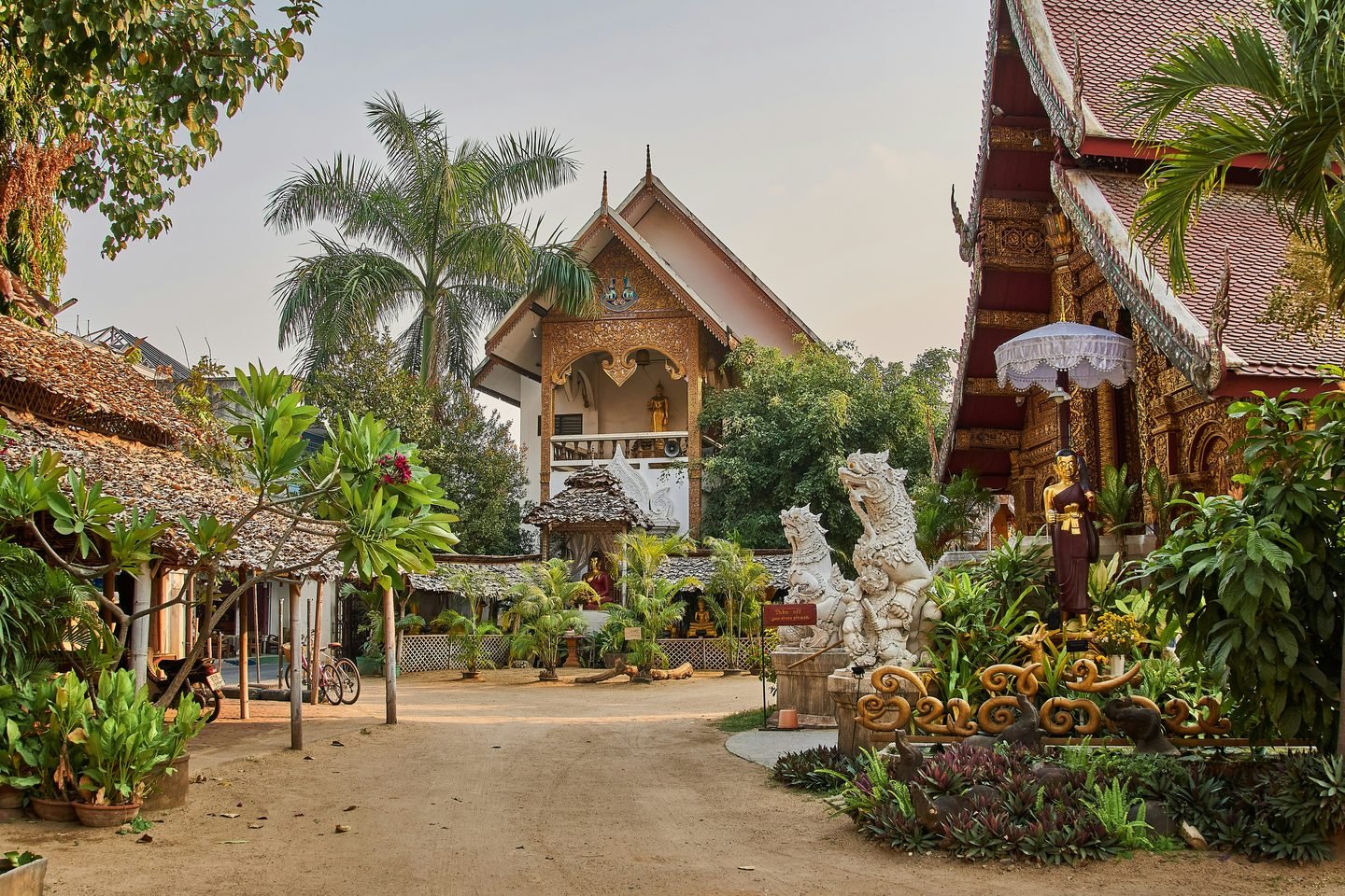 The courtyard of a Lanna temple, its gilded gable and guardian lions among the palms