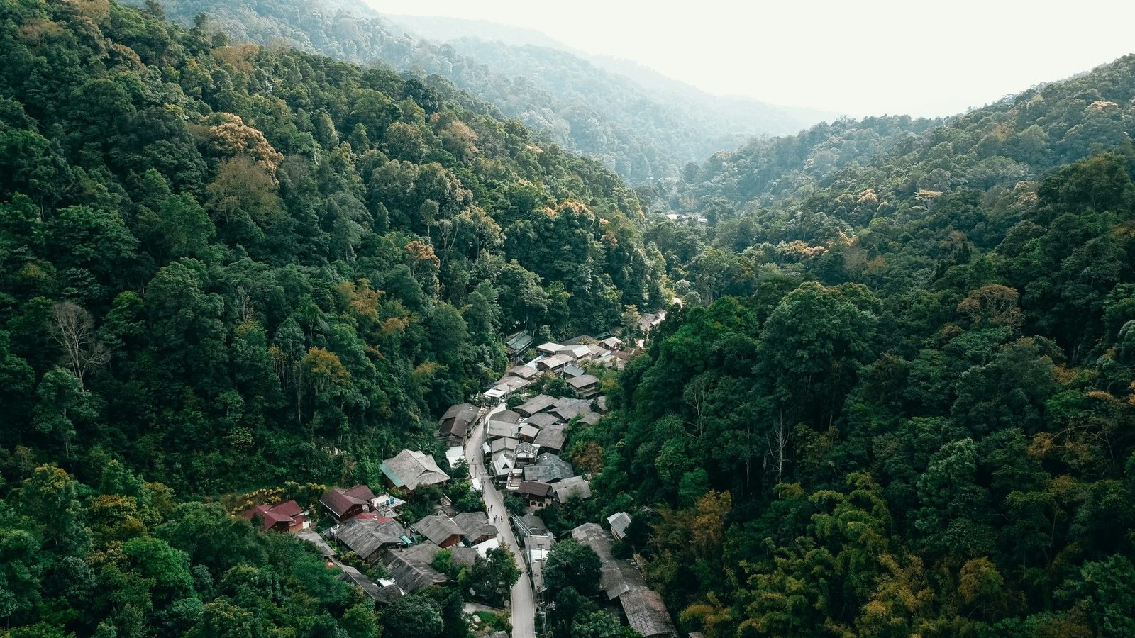 The village of Mae Kampong from the air: tin roofs along a single road in a steep forested valley