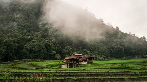 Mist hanging over forested hills above terraced fields and a wooden hut