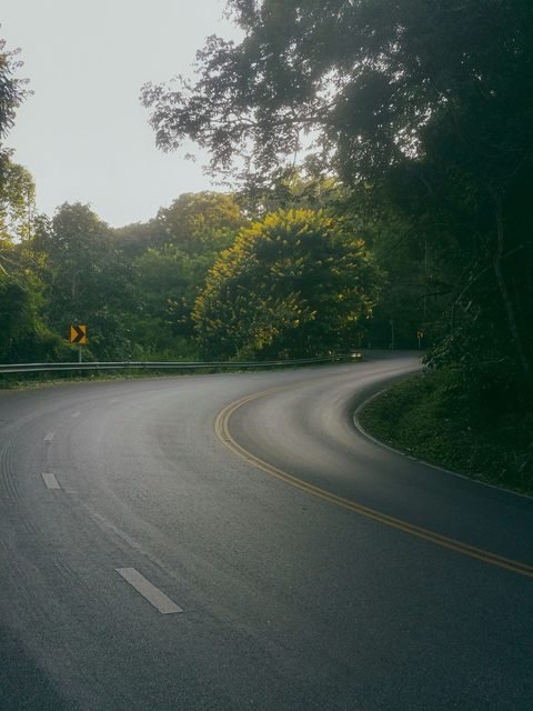 An empty two-lane road curving back on itself through forest, chevron signs on the bend