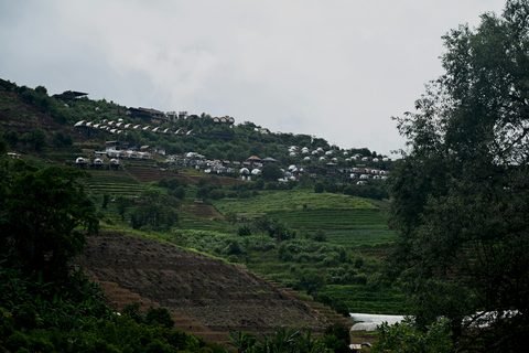 Terraced farmland cut into a green hillside under a grey sky