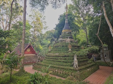 Un chedi de brique à gradins couvert de mousse et de petites plantes, à la flèche dorée, devant une salle au pignon rouge, parmi de grands arbres