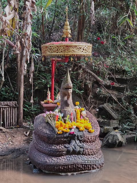 Une statue de serpent lové, dressée dans un ruisseau peu profond aux eaux brunes, couverte de guirlandes de soucis, sous une ombrelle rouge et dorée